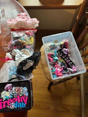 Huge Monster High Doll Accessories Lot